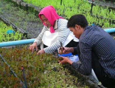 asean agriculture farming