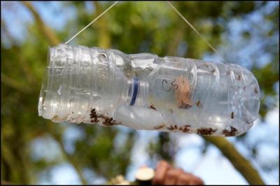 farming insect trap